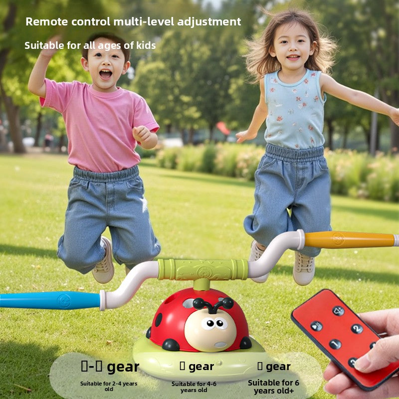 Children's Ladybug Activity Toy for Indoor Play